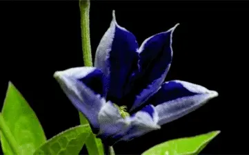 PC肌收放操如何做？