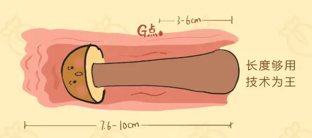 完美丁丁长什么样?满足你就赢了!