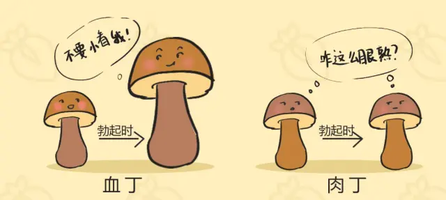 完美丁丁长什么样?满足你就赢了!