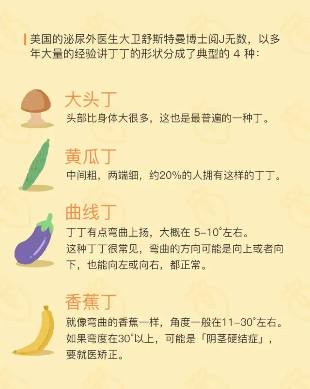 完美丁丁长什么样?满足你就赢了!