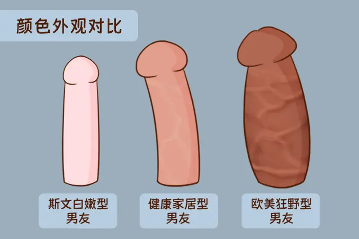 看片心痒痒？这份《仿真玩具挑选指南》带你精准避坑