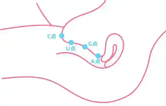 女人的A点U点G点什么意思