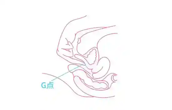 女人的A点U点G点什么意思