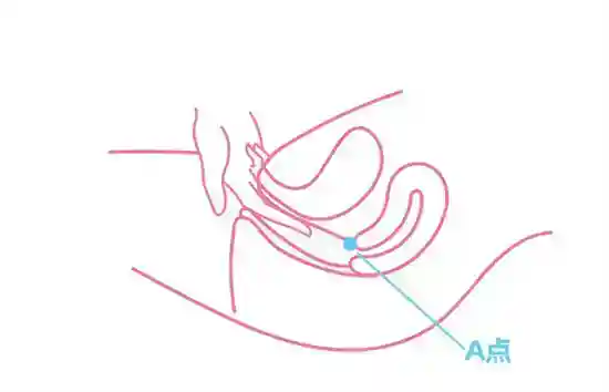 女人的A点U点G点什么意思