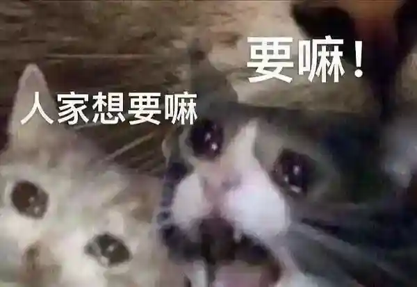 全身的细胞都在欢呼！Cachito偷欢测评及使用体验分享