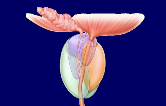 不同年龄的女性欲望有什么差别？