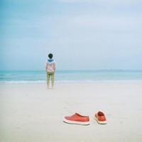 数字迷踪 的头像