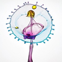 沙雕的橙子 的头像