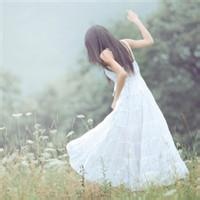 灵息夜语 的头像